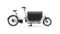 Urban Arrow Cargo L Flatbed Rohloff